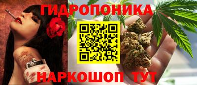 spice Краснознаменск