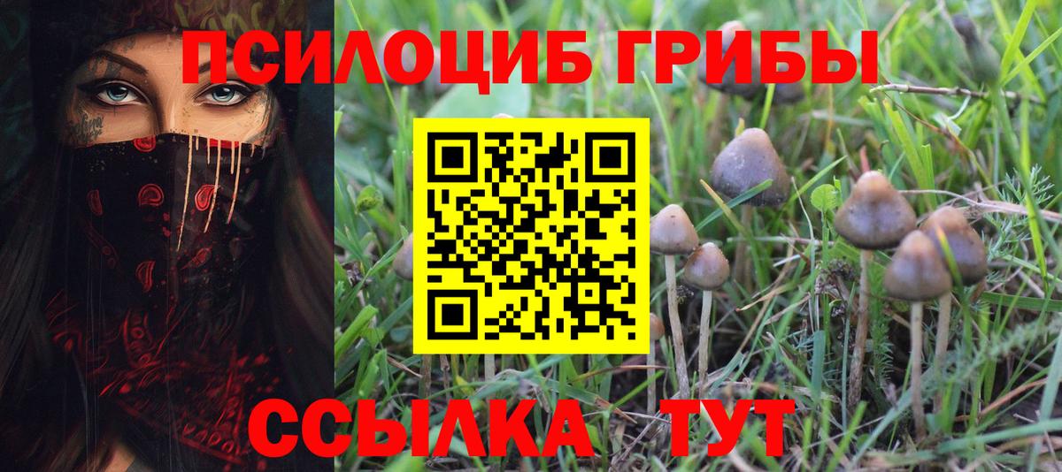 Ипатово  Галлюциногенные грибы ЛСД  даркнет сайт  Вход с VPN 