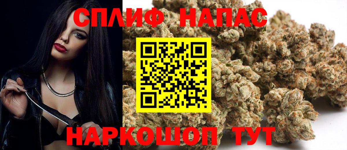 Бошки марихуана семена  Бошки Шишки индика  Конопля ГИДРОПОН  Вход с VPN  Конопля планчик  Ипатово 